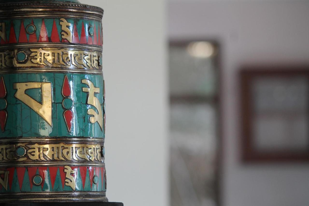 Junglaat Stays & Experiences Dharamshala Buitenkant foto