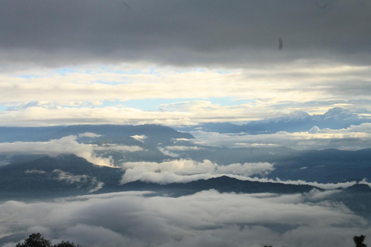 Junglaat Stays & Experiences Dharamshala Buitenkant foto