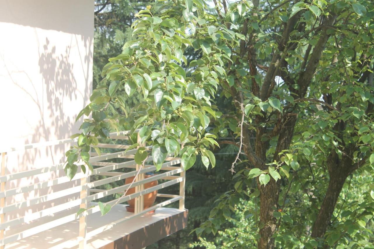Junglaat Stays & Experiences Dharamshala Buitenkant foto