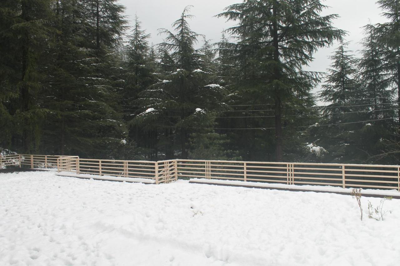 Junglaat Stays & Experiences Dharamshala Buitenkant foto
